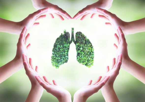Giải độc phổi là loại bỏ độc tố, giúp phổi khỏe mạnh