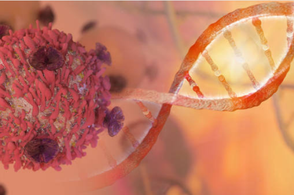 Ung thư phổi do sư tấn công của các tác nhân làm biến đổi cấu trúc gen của tế bào