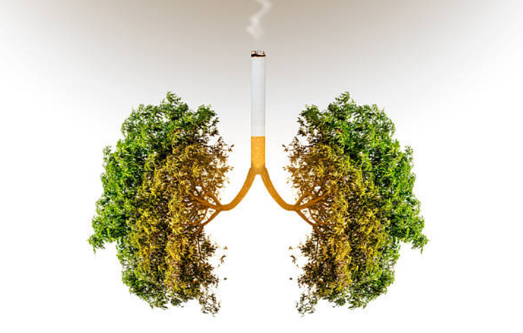  Cách làm sạch phổi cho người hút thuốc lá là gì?