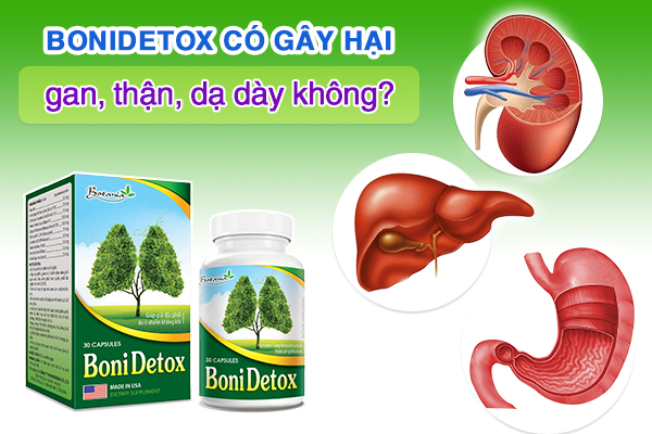 BoniDetox có gây hại gan, thận, dạ dày không?