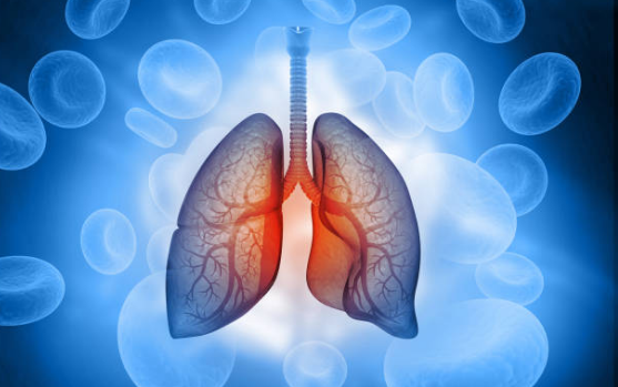Phổi yếu phải làm sao? Đâu là giải pháp an toàn và hiệu quả giúp lá phổi khỏe mạnh?