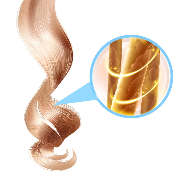 Protein hóa sừng (keratin) là thành phần chính của sợi tóc