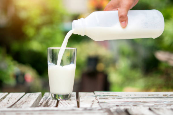 Lactium chiết xuất từ đạm sữa giúp nuôi dưỡng não bộ, giải tỏa căng thẳng, stress