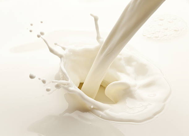 Lactium từ sữa đem lại nuôi dưỡng não bộ, giải tỏa căng thẳng stress